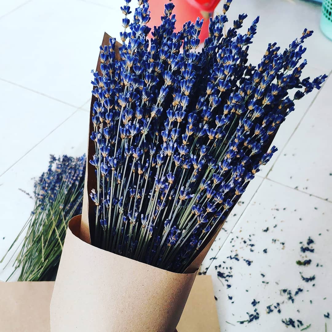bó hoa lavender khô