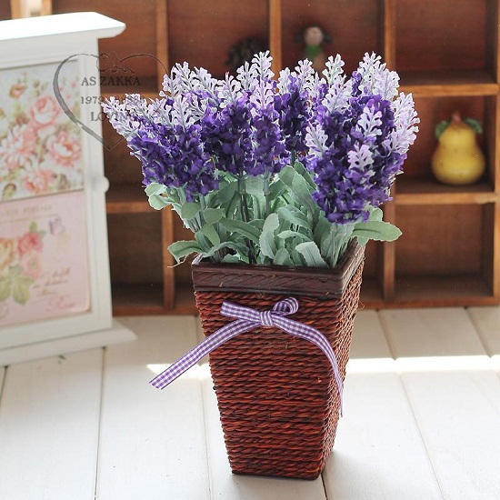 bán hoa lavender tphcm