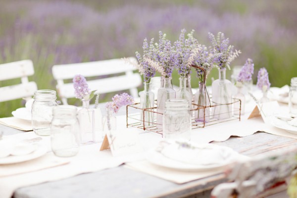 F5 cuộc sống với 6 gợi ý từ hoa Lavender