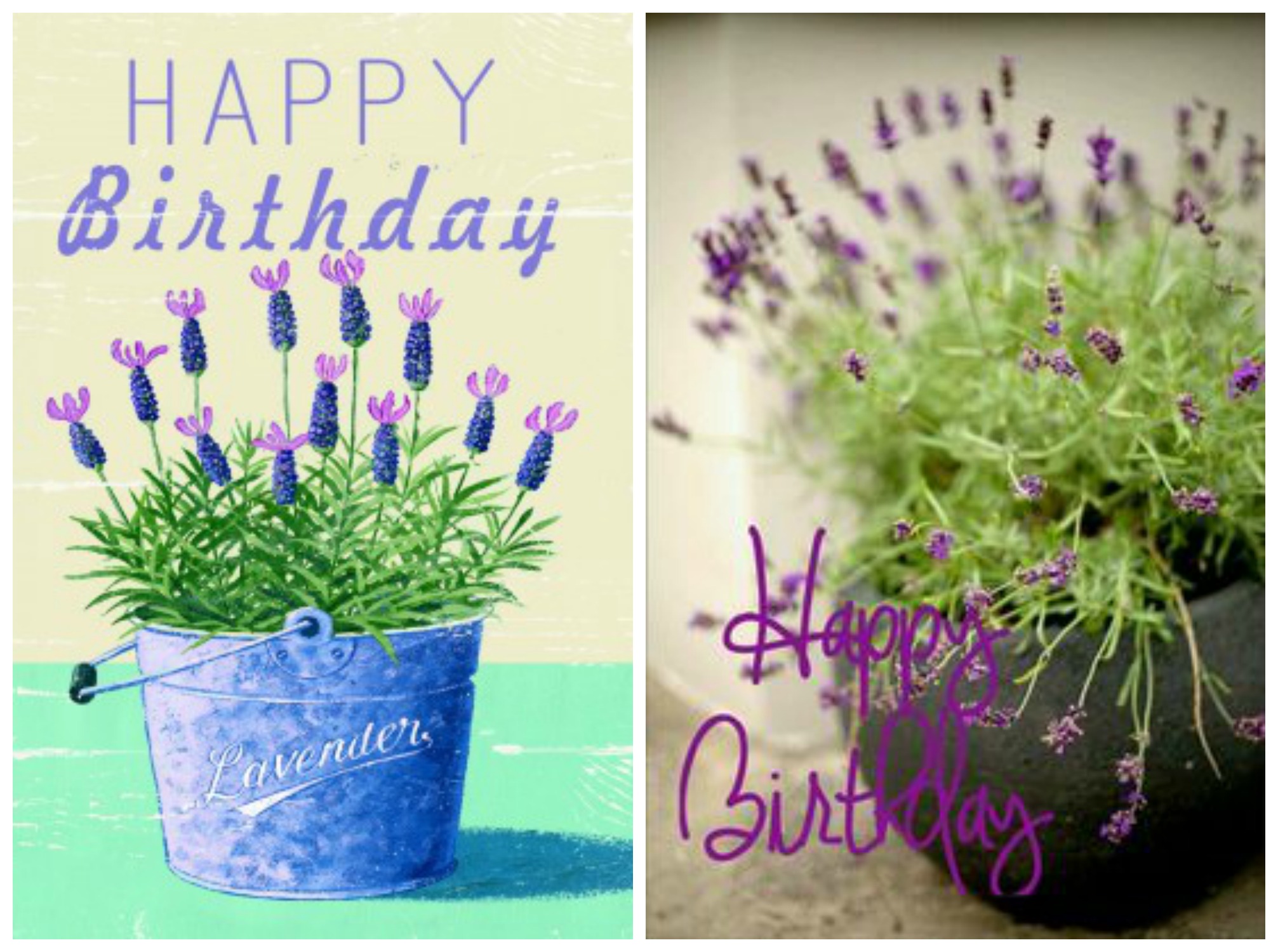 Hoa lavender khô làm quà: giải pháp quà tặng sinh nhật cho nàng