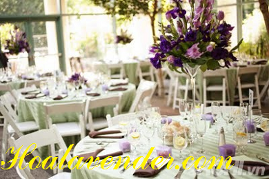 Hoa Lavender Tphcm làm mới sắc màu tiệc cưới