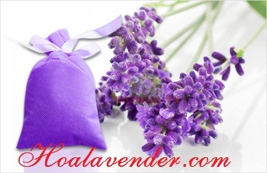 Khuyến mãi cực hot! Mua túi thơm Lavender giá chưa tới 3$