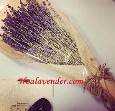 Lưu giữ chuyện tình yêu với hoa Lavender khô