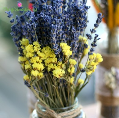 Hoa lavender món quà tặng tuyệt vời ngày 20/10