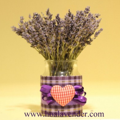 5 điều khi chọn nơi bán sỉ hoa lavender