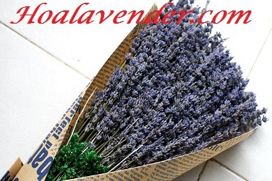 Gợi ý quà tặng thầy cô ngày 20/11 cực độc từ shop hoa lavender khô