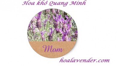 Lý do khiến hoa lavender khô thích hợp làm quà tặng mẹ ngày 8-3