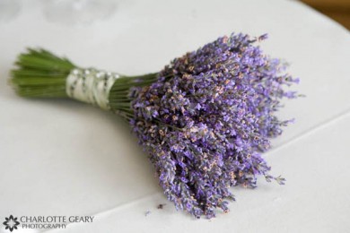 Bán sỉ hoa lavender giá bao nhiêu