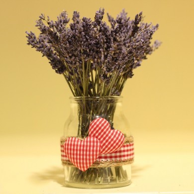 Bán sỉ hoa Lavender tại TPHCM, nên mua ở đâu?