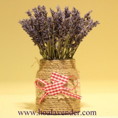 Bán sỉ hoa Lavender từ chất tới chất !!!