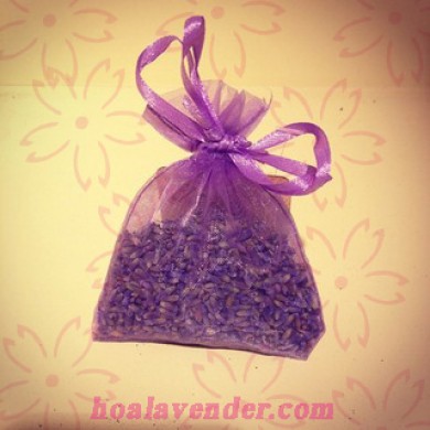 Bán sỉ hoa lavender, túi thơm