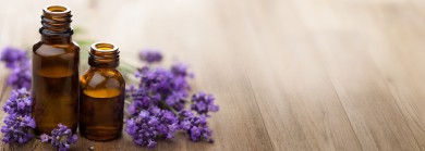 Bảo quản hoa lavender khô như thế nào