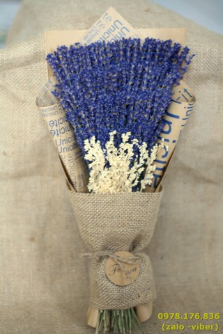 Bó hoa lavender khô 199 cành
