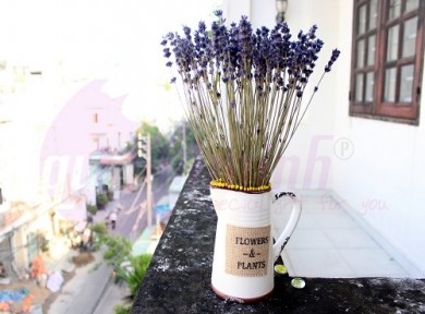 Địa chỉ mua hoa khô lavender tại TP. HCM chất lượng miễn chê
