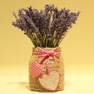 Địa điểm bán sỉ hoa Lavender, uy tín, chất lượng tại tp.hcm !