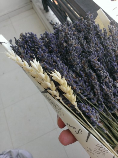 Điều đáng quan tâm tại nơi bán sỉ hoa Lavender chất lượng