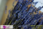Hoa lavender khô loài hoa tuyệt vời cho ngày cưới