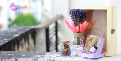 Hoa lavender khô món quà ý nghĩa cho bạn gái