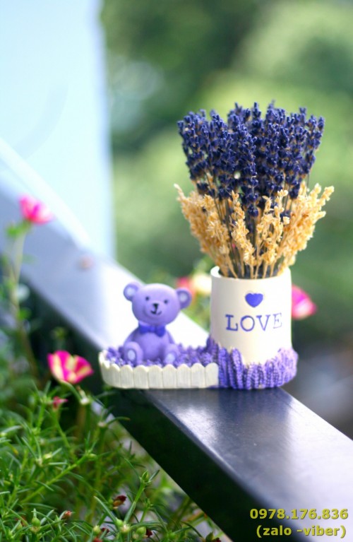 Lọ hoa lavender khô cánh đồng hoa