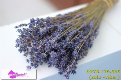 Mua hoa lavender khô giá rẻ tại Gò Vấp