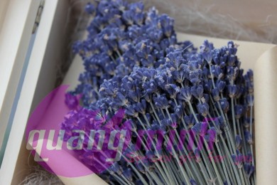Shop bán hoa lavender khô của Pháp tại Sài Gòn