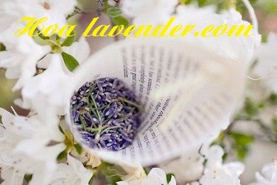 Vài bí quyết bỏ túi trước khi khởi nghiệp bán sỉ hoa lavender
